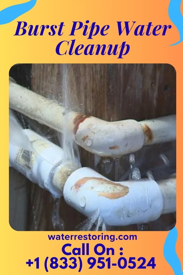 Burst Pipe Water Cleanup in Cheraw, SC