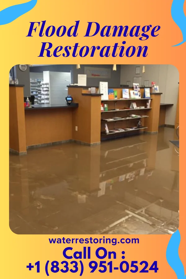 Flood Damage Restoration in Cheraw, SC