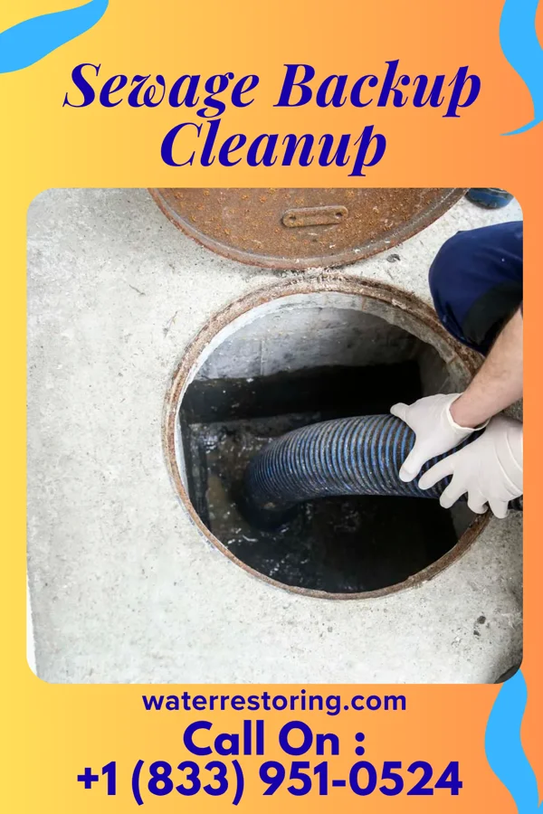 Sewage Backup Cleanup in Cheraw, SC