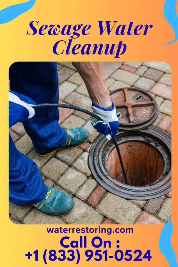 Sewage Water Cleanup in Cheraw, SC